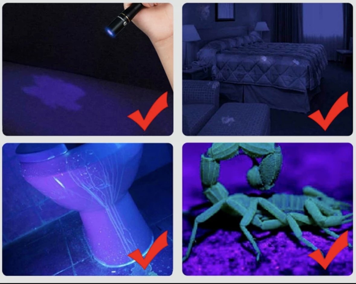UV 紫光檢測燈