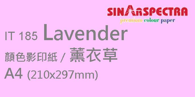 Sinar Spectra A4 80gsm 顏色紙 #IT185 薰衣草紫色