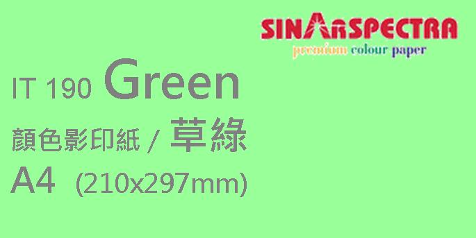 Sinar Spectra A4 80gsm 顏色紙 #IT190 草綠地